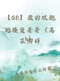 【GB】我的雙胞胎騷貨哥哥（高h）